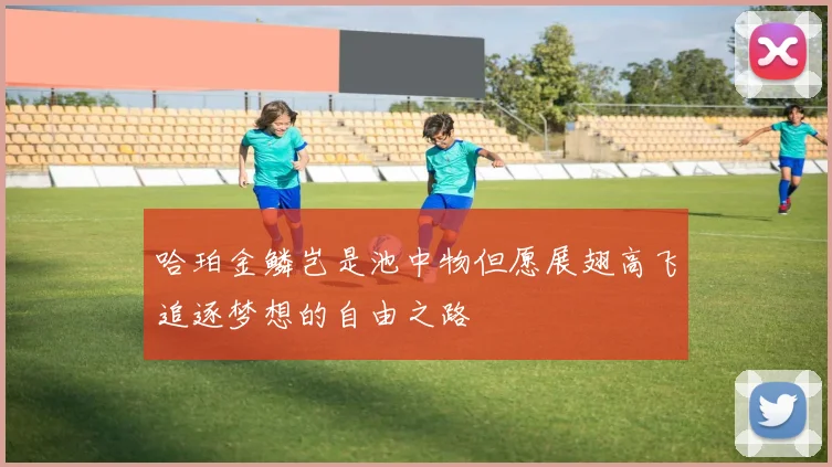 哈珀金鳞岂是池中物但愿展翅高飞追逐梦想的自由之路